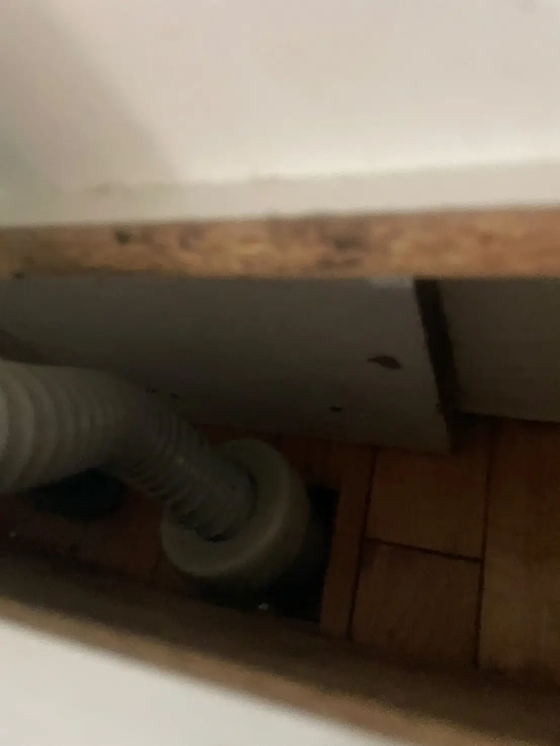 台所のつまり解消